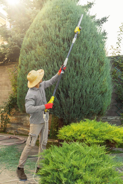 Best Best Tree Removal Services  in Garrett, WA